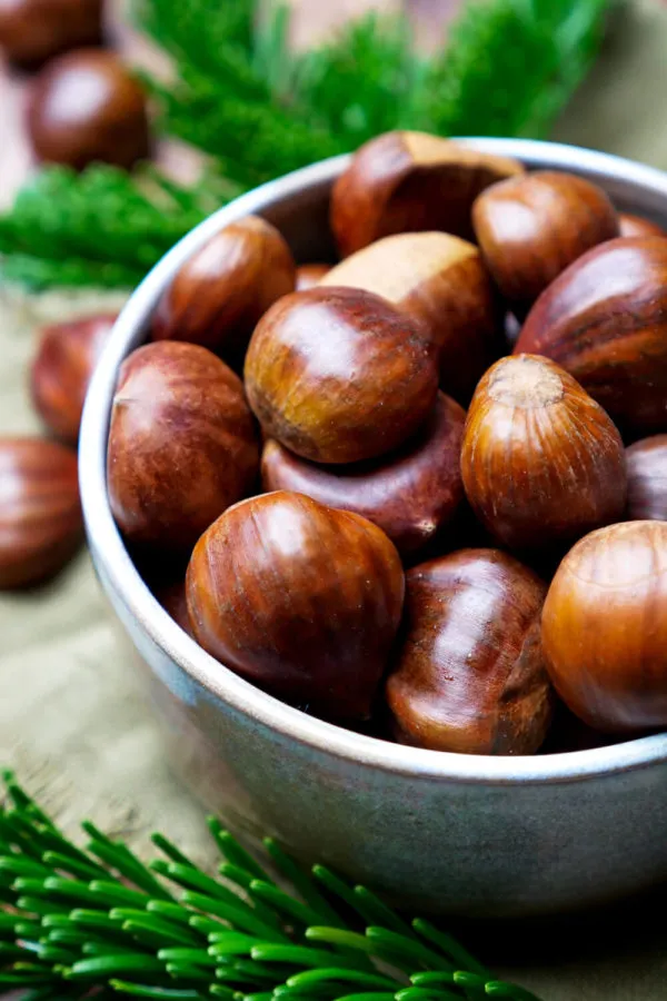 Frische Maronen in ihrer Schale, bereit zum Rösten und Schälen