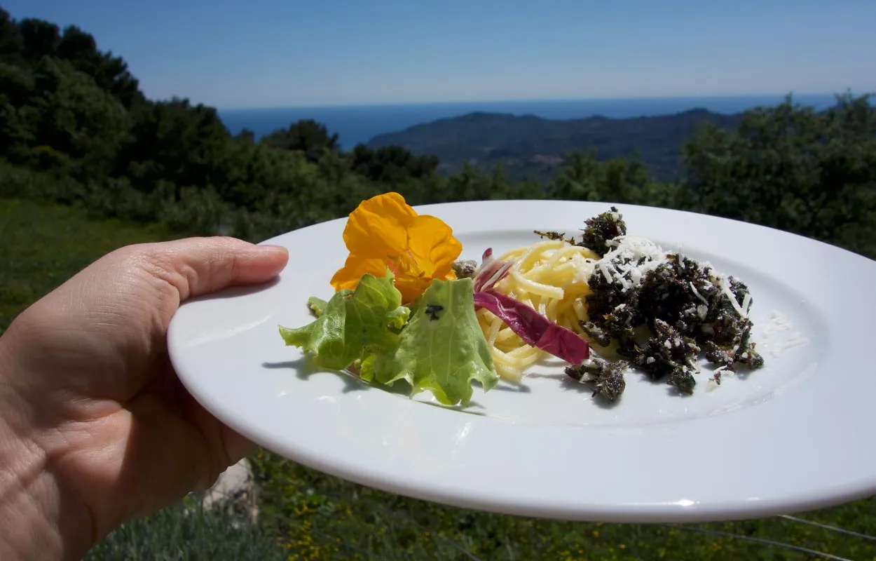 Frische Pasta serviert mit hausgemachtem Borretsch-Pesto und garniert mit Blüten für eine ansprechende Präsentation.