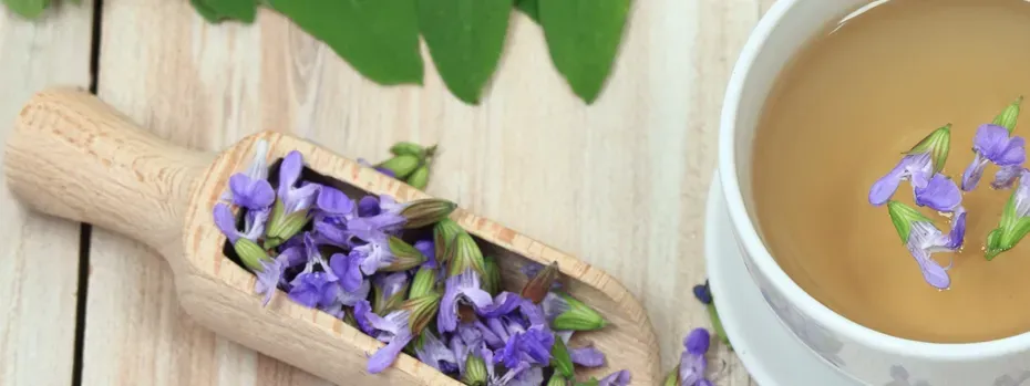Frische Salbeiblätter neben einer Tasse Salbeitee, empfohlen zur Linderung von Halsschmerzen.