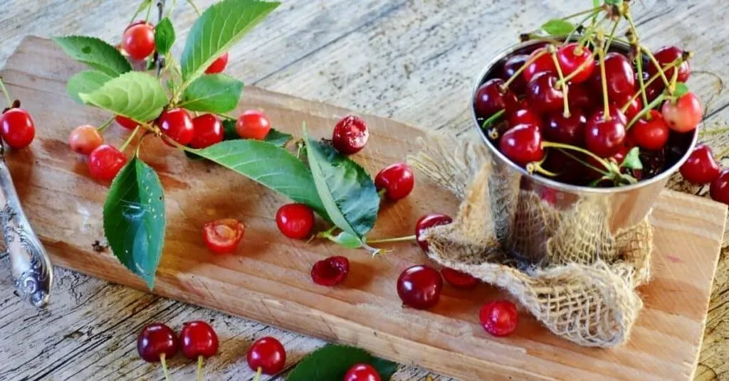 Frische Sauerkirschen als effektives Hausmittel gegen Übelkeit und Morgenübelkeit