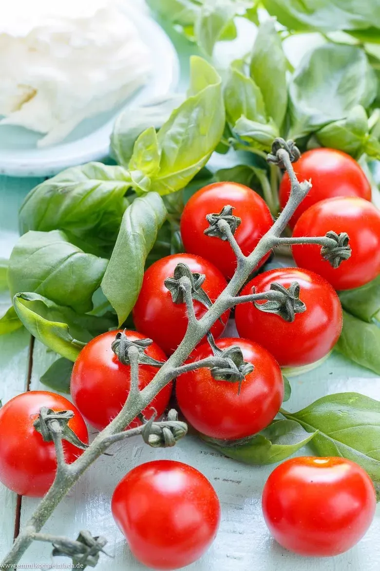 Frische Tomaten und Mozzarella für den Auflauf