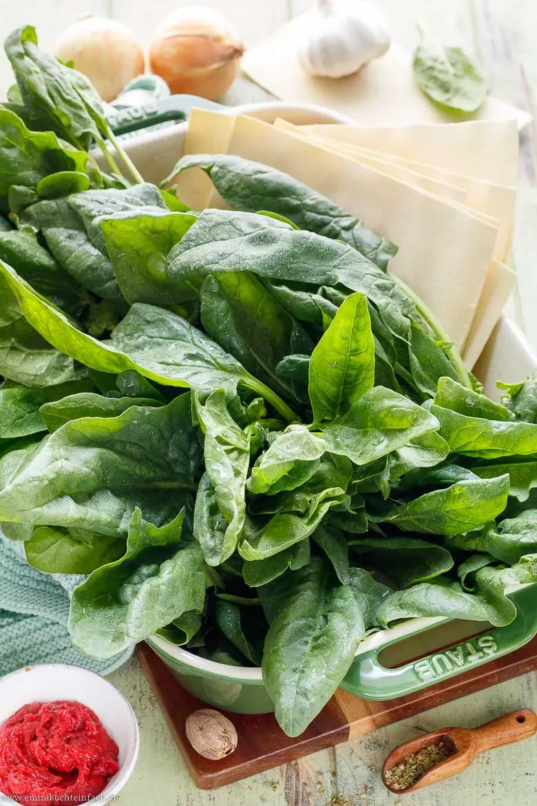 Frischer Blattspinat oder Tiefkühl-Spinat für die Lasagne