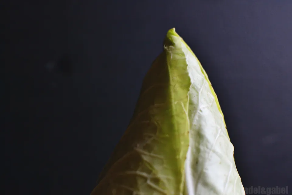 Frischer Spitzkohl als Zutat für die Füllung der Pierogi, typisch für viele Kohlgerichte.