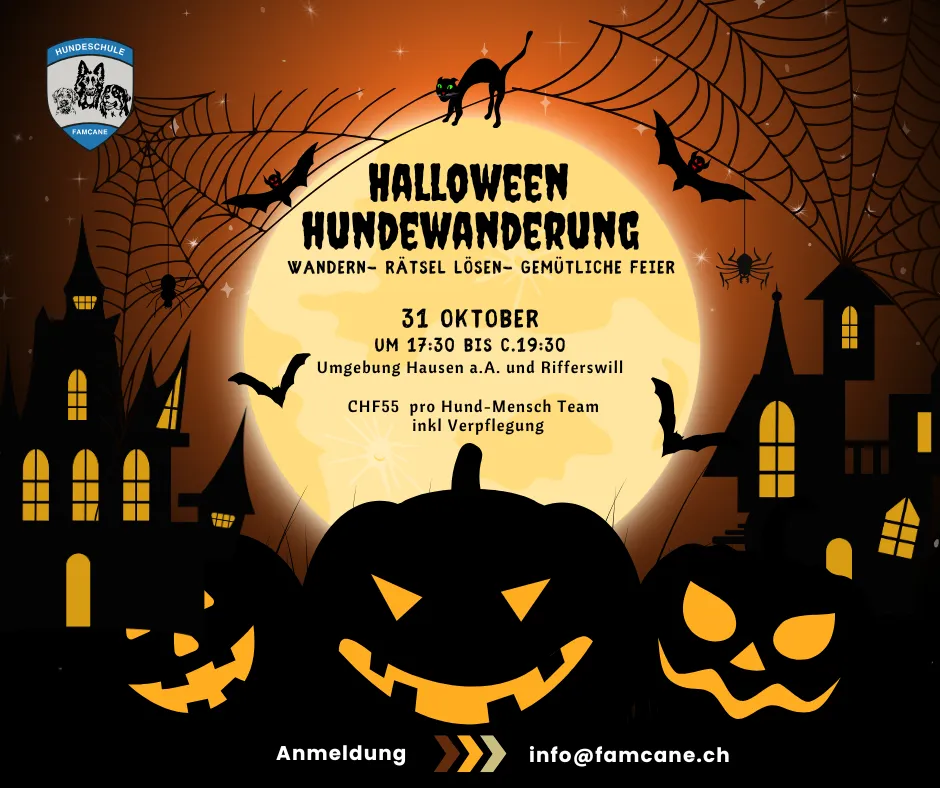 Fröhliche Hunde und ihre Besitzer bei einer geführten Wanderung im Rahmen eines Hundeschul-Events