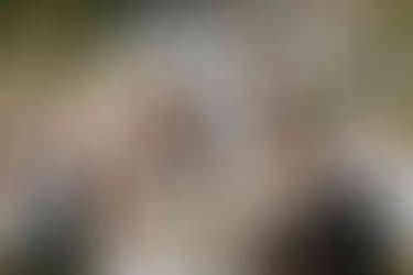 Fürst von Bismarck Mühle Hochzeitspaar