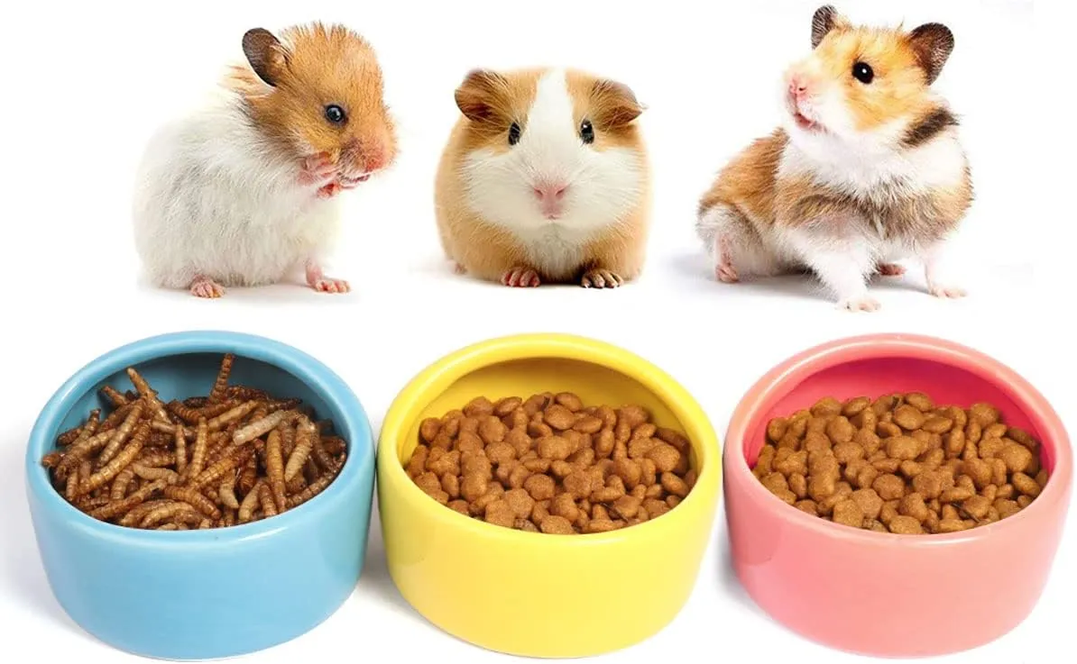 Futterschalen für Mäuse