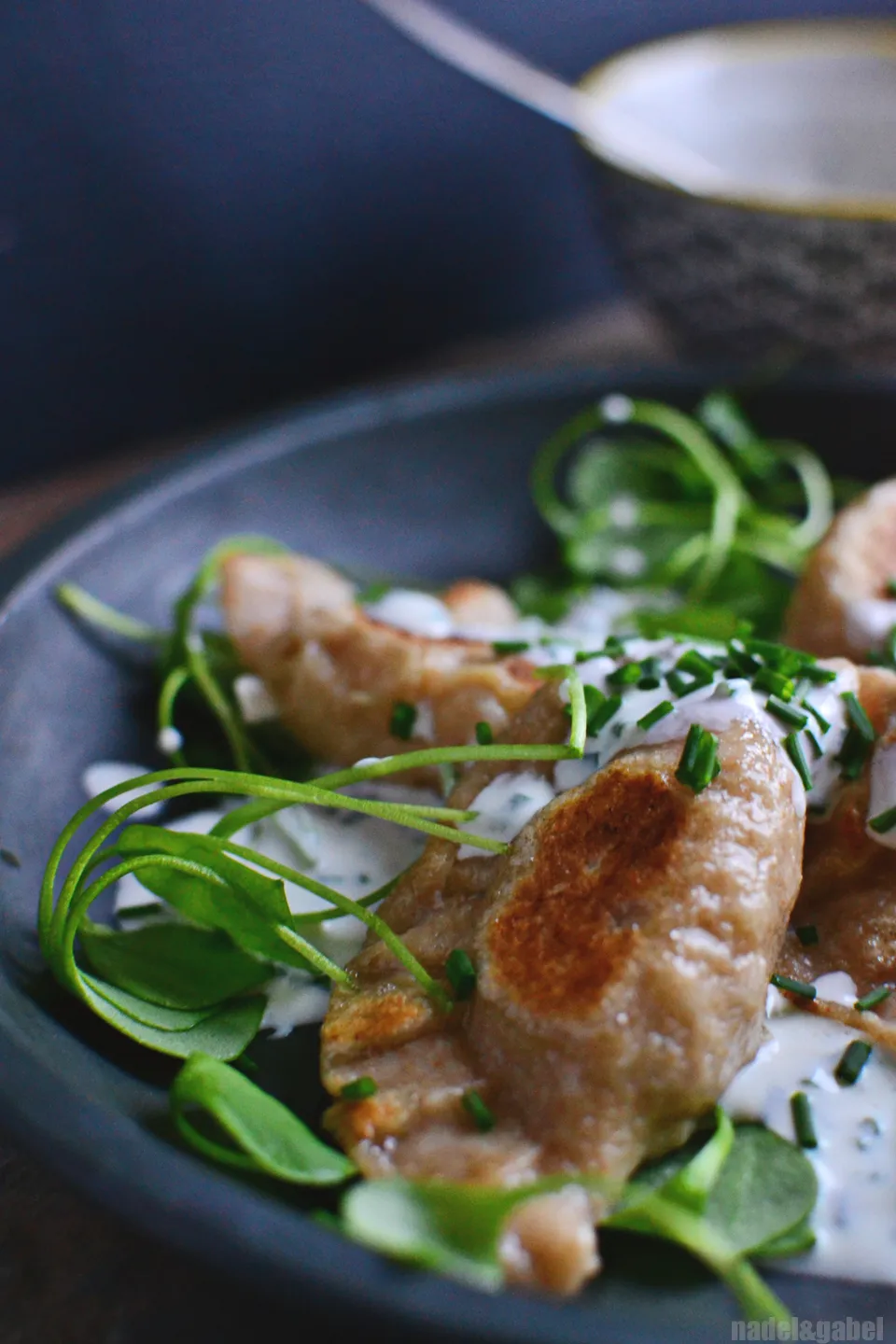 Gebratene Pierogi mit Kraut-Kartoffel-Füllung und Sauerrahm, als deftiges Seelenfutter.