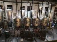 Geführte Bierverkostung deutscher IPAs in einer Brauerei