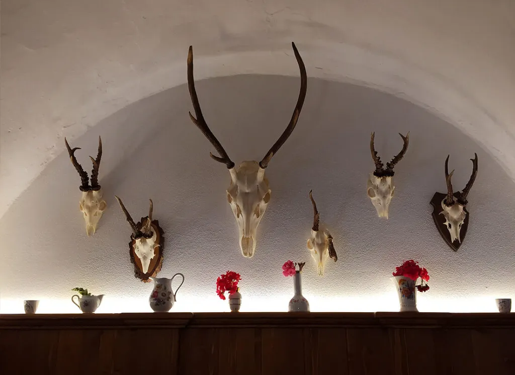 Gemütliche Ecke im Bräustüberl Schönbrunn mit Holztisch und Stühlen