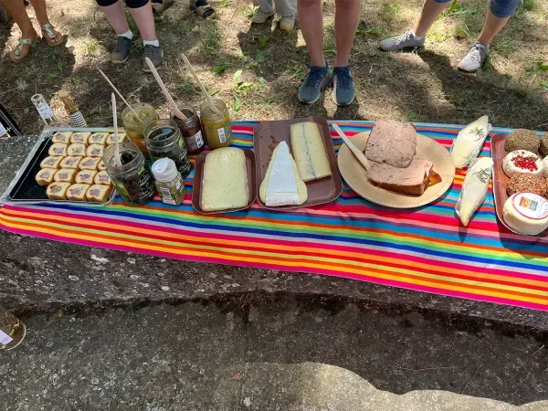 Genussvolle Weinprobe in Châteauneuf-du-Pape, Teil des Kulturprogramms