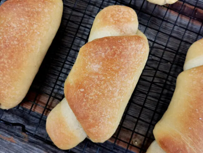 Gerollte Teiglinge für italienische Panini All'Olio, die ihre charakteristische spiralförmige Struktur zeigen