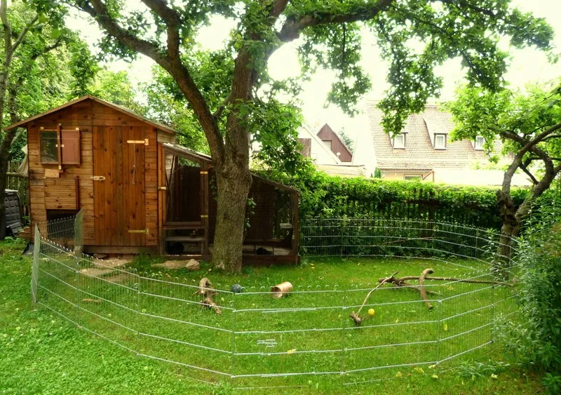 Gesicherter Kaninchenauslauf im Garten, der um einen Baum herum angelegt ist und natürlichen Schatten bietet