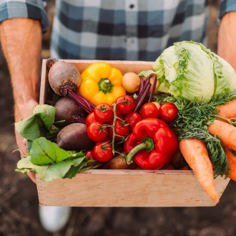 Gesunde Gemüsekiste mit vielen Ballaststoffen und sekundären Pflanzenstoffen