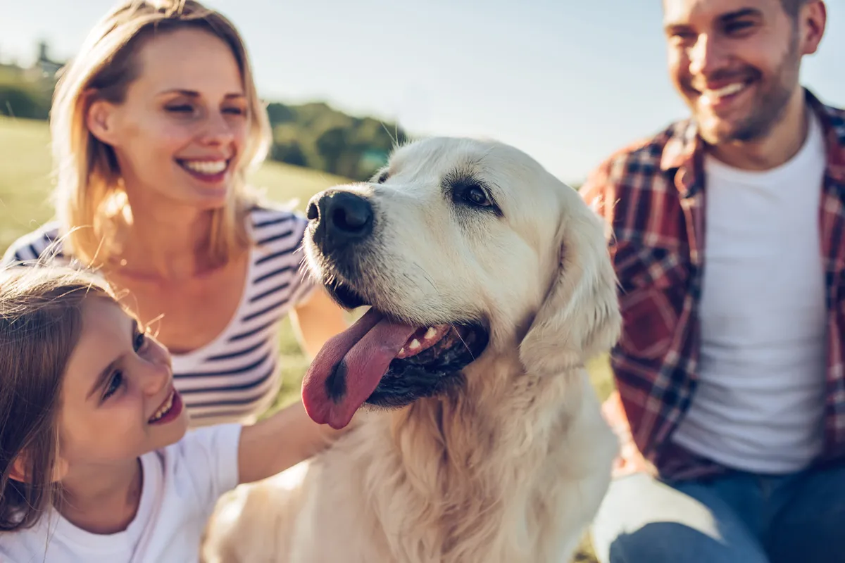 Golden Retriever spielt im Garten mit Kindern