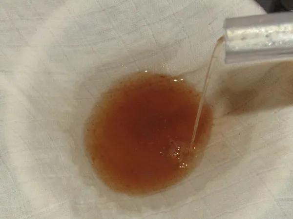 Goldgelber, frisch gepresster Quittensaft fließt aus der Saftpresse in einen Filter, bereit für die schonende Pasteurisierung.