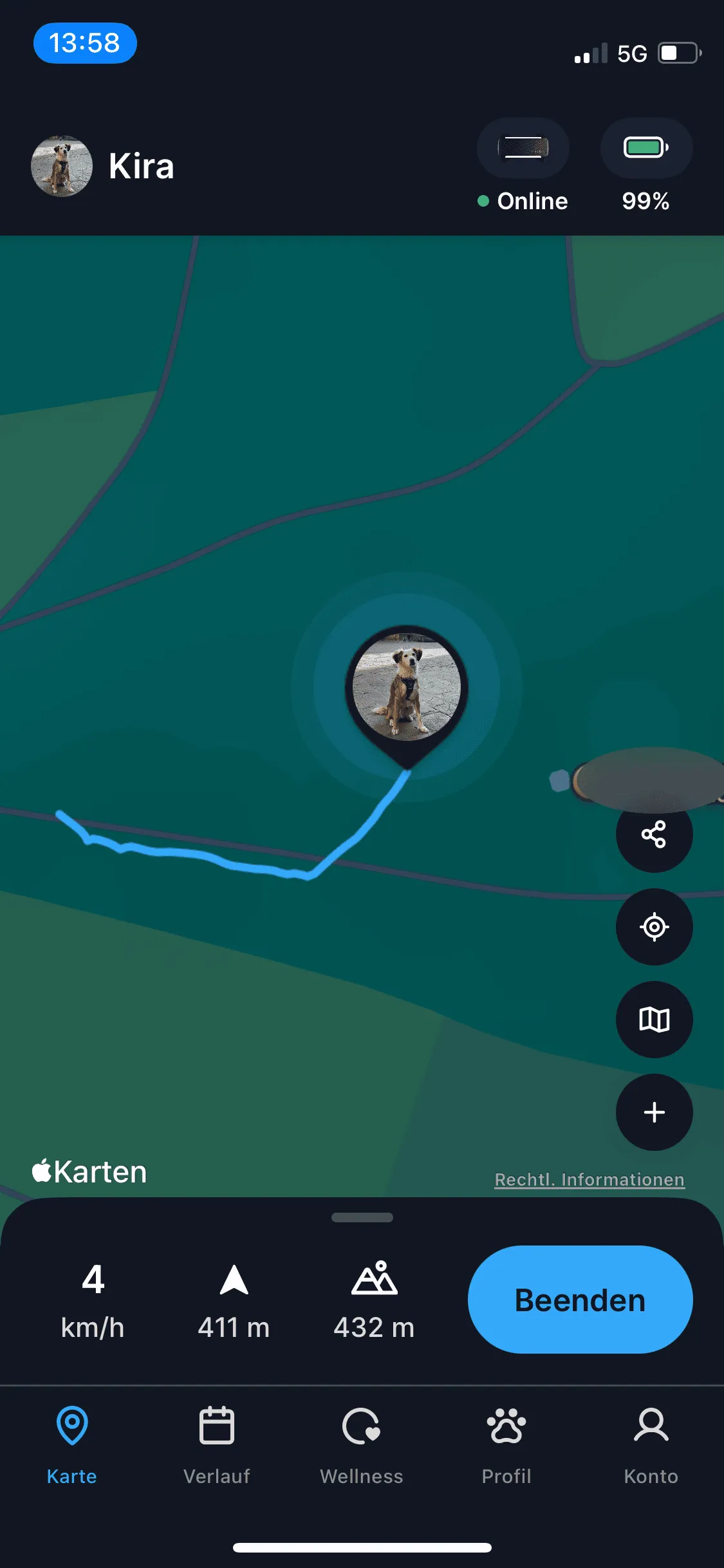 GPS-Genauigkeit des Tractive Dog 6 auf einer Karte