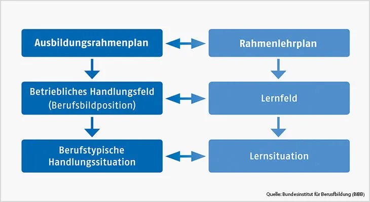 Grafik, die die Situation der Lernortkooperation darstellt
