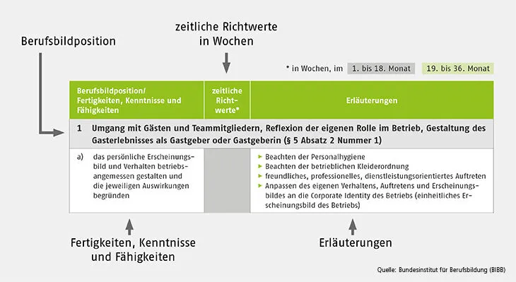 Grafik, die die Struktur eines Ausbildungsrahmenplans erklärt
