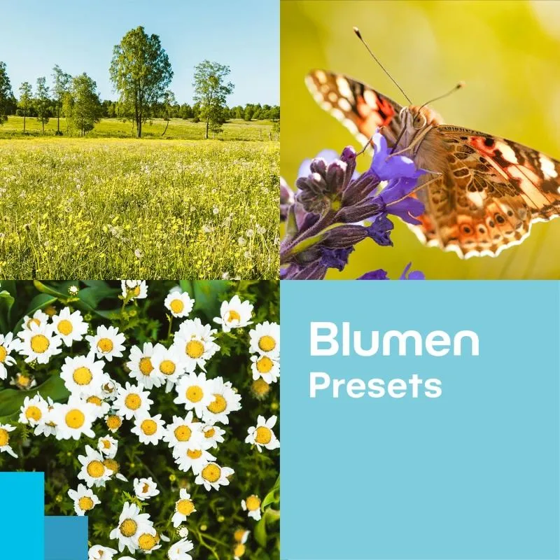 Gratis Blumen-Presets für Zoner Photo Studio zur Verbesserung von floralen Aufnahmen