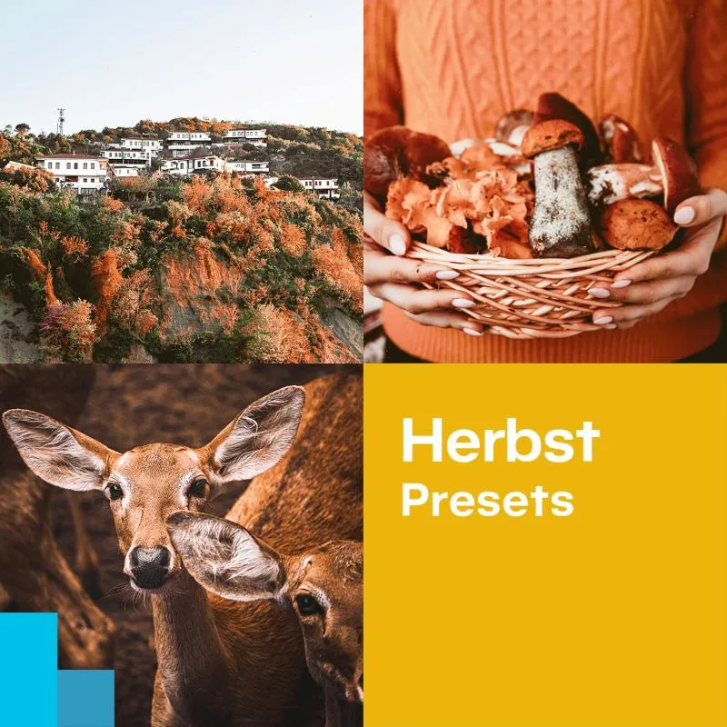 Gratis Herbst-Presets für Zoner Photo Studio zur Intensivierung herbstlicher Farben