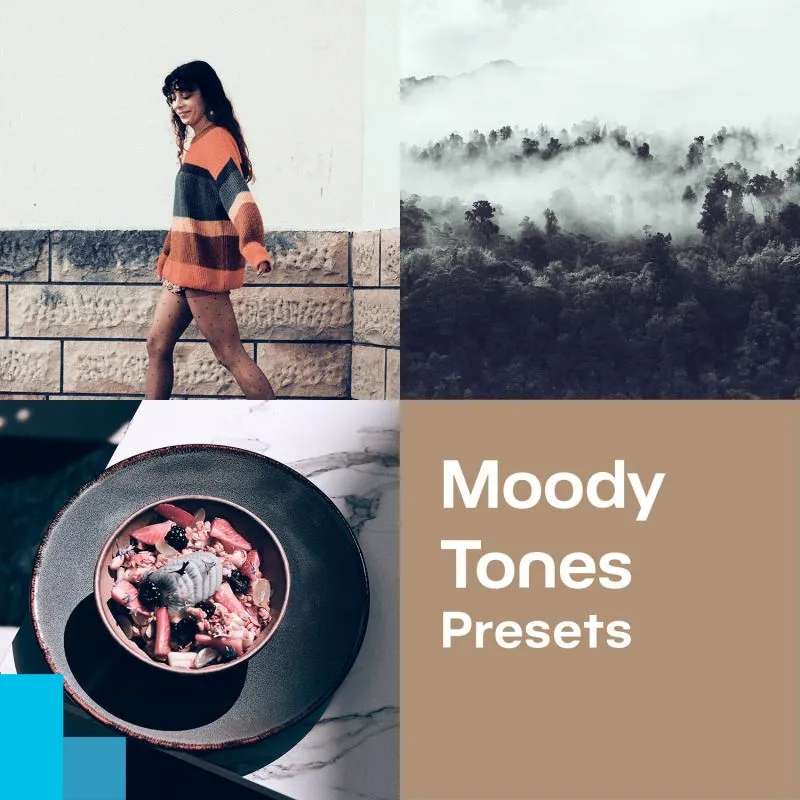 Gratis Moody Tones-Presets für Zoner Photo Studio für mysteriöse und stimmungsvolle Fotos