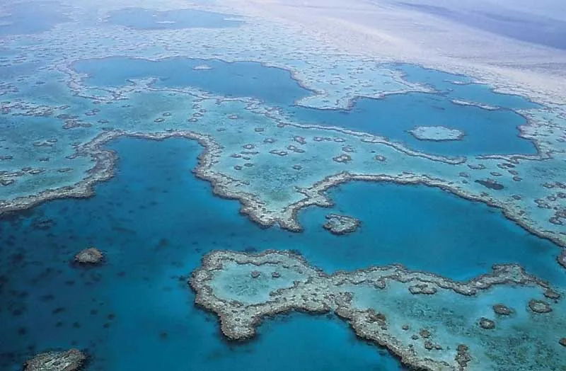 Great Barrier Reef, Australien