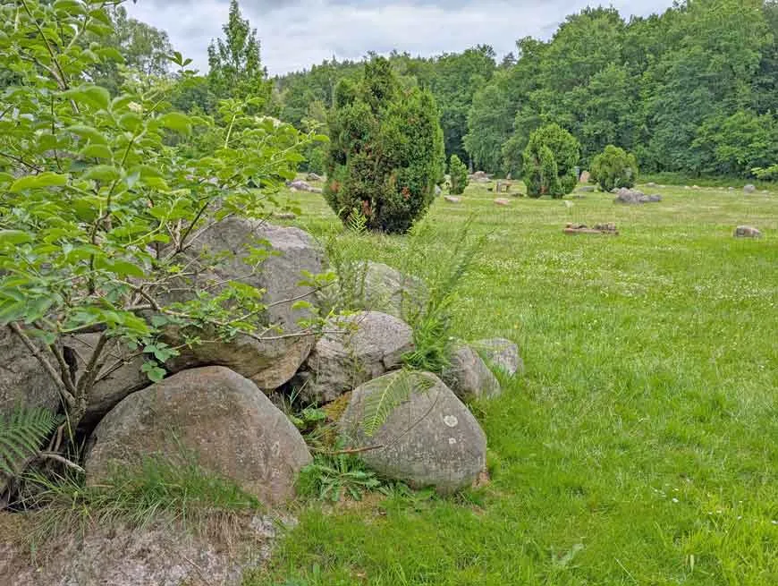 Große Findlinge liegen in einer Waldlichtung, Zeugen der Eiszeit