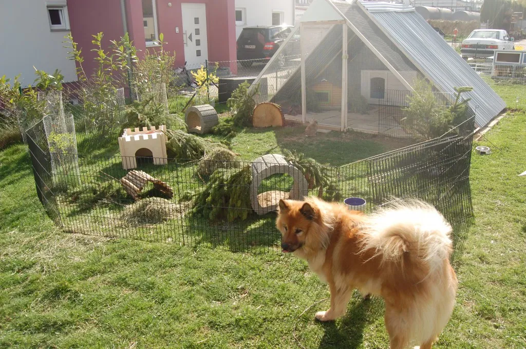 Großer, strukturierter Auslauf für Kaninchen mit natürlicher Bepflanzung und Schutzmöglichkeiten im Garten