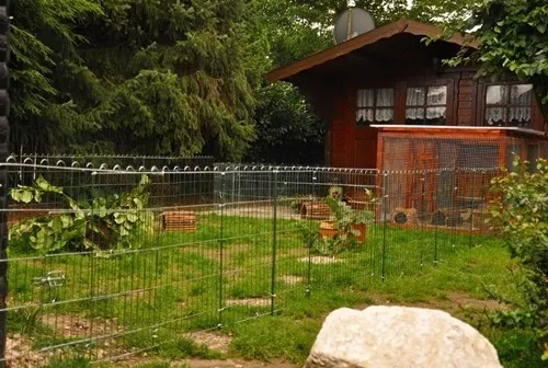 Großes Kaninchengehege mit weitläufigem Auslauf, der den Kaninchen viel Raum zum Laufen und Spielen bietet