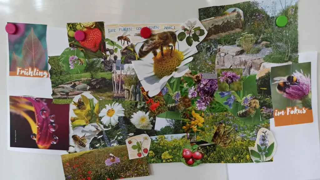 Grundschüler beobachten aufmerksam Bienenwaben und lernen von einem Imker über Bienenschutz.