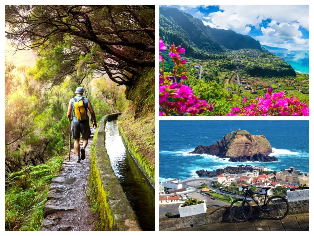 Grüne Landschaften und blühende Pflanzen auf Madeira