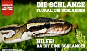 Grüne Schlange schlängelt sich durch Äste, ihre Schuppen glänzen