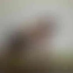 Handgelenksdehnung in der Bankstellung mit verschiedenen Handpositionen