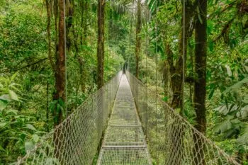 Hängebrücken im Mistico Park im Vulkan Arenal Nationalpark in Costa Rica