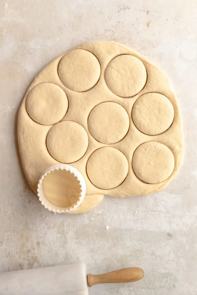 Hefeklöße auf einem Backblech, bereit zum Dämpfen, mit ausreichend Platz dazwischen.