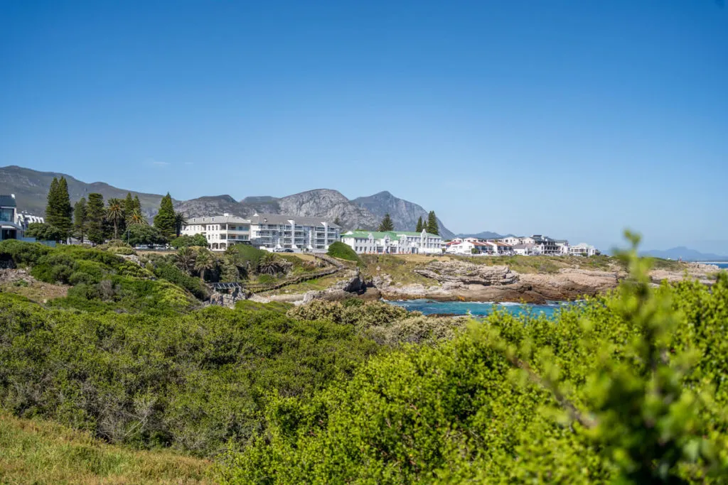 Hermanus, die Welthauptstadt der Walbeobachtung, ein gemütlicher Ort entlang der Garden Route Südafrika