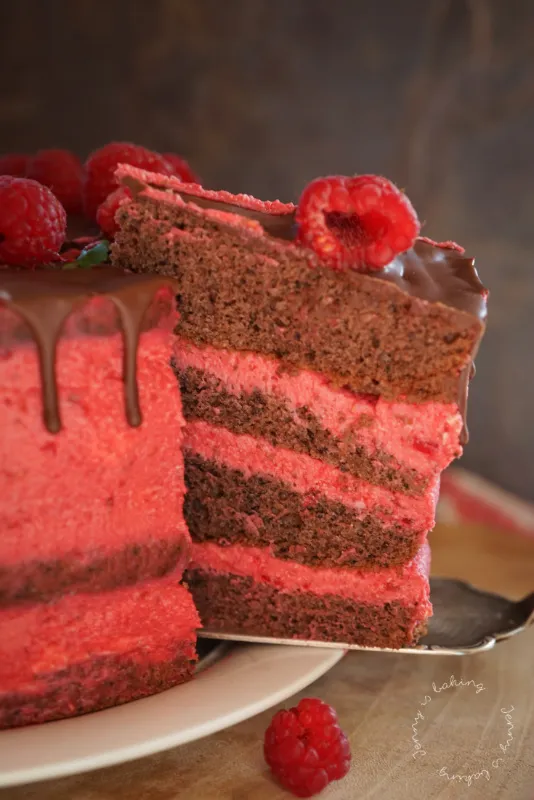 Himbeer-Schoko-Torte mit Biskuitboden und frischen Himbeeren