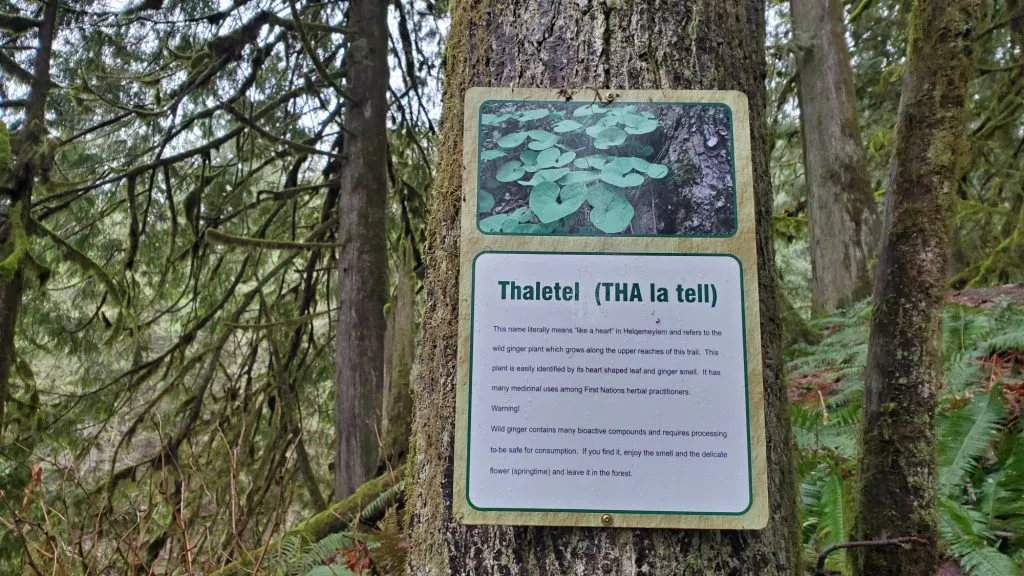 Historische Informationstafel an einem Wanderweg, der auf deutsche Natur- und Kulturpfade hinweist