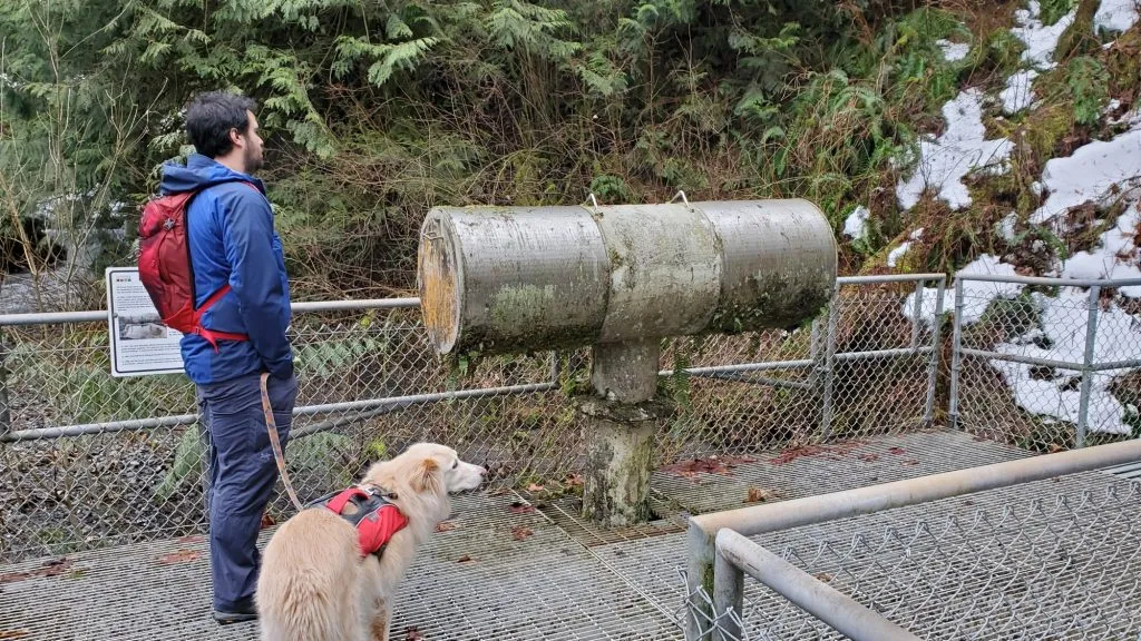 Historische Wasserentnahmestellen im Wald, die die Bedeutung der natürlichen Ressourcen in Deutschland unterstreichen