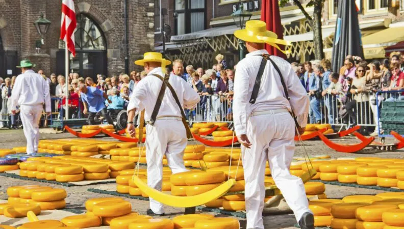 Historischer Käsemarkt in Alkmaar, Niederlande, mit Käselaiern und traditionellen Trachten
