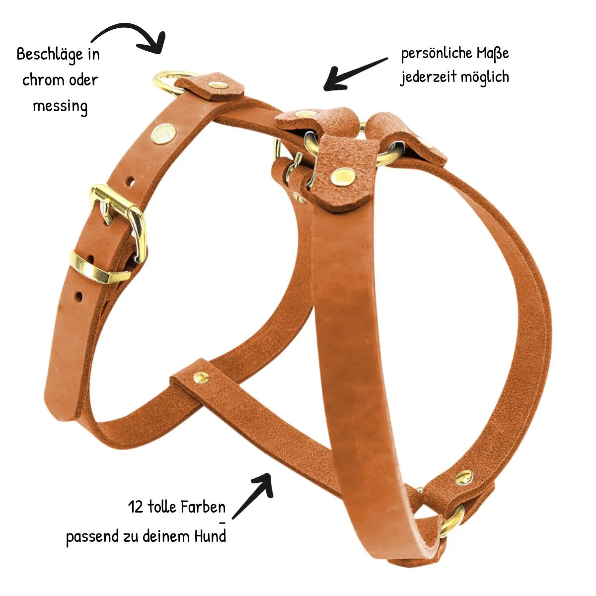 Hochwertiges Fettledergeschirr von MeinHalsband für langlebigen Komfort