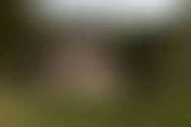 Hof Weihe Scheunenhochzeit