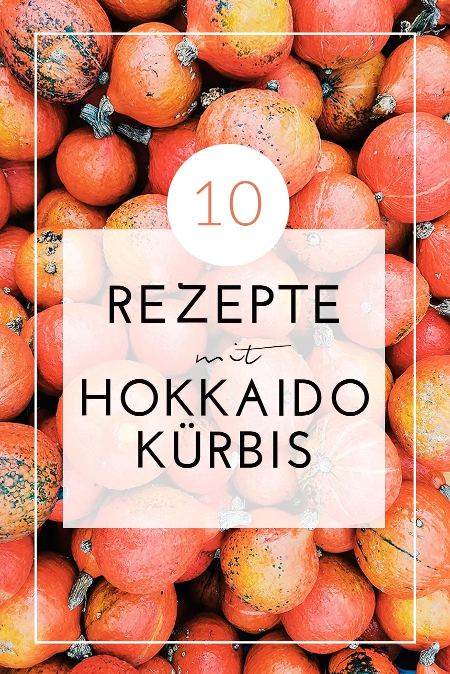 Hokkaido-Kürbis ist der Allrounder unter den Kürbissen. Spätestens Mitte August ploppt sein kugelrunder, leuchtend orangefarbener Kopf in den Gemüseregalen auf.