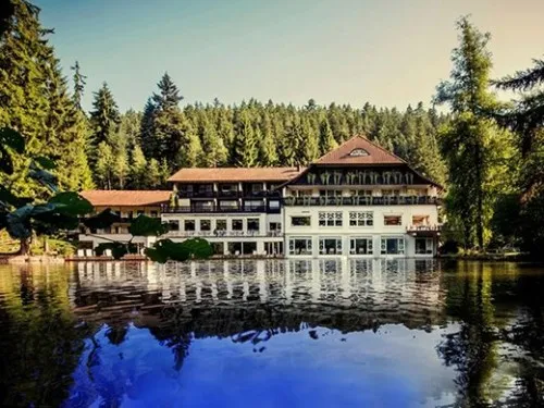 Hotel Langenwaldsee 
