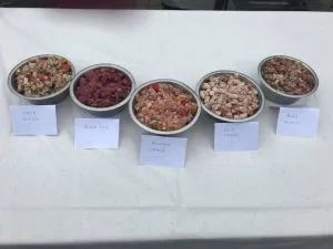 Hund erhält BARF-Futter im Tierhotel