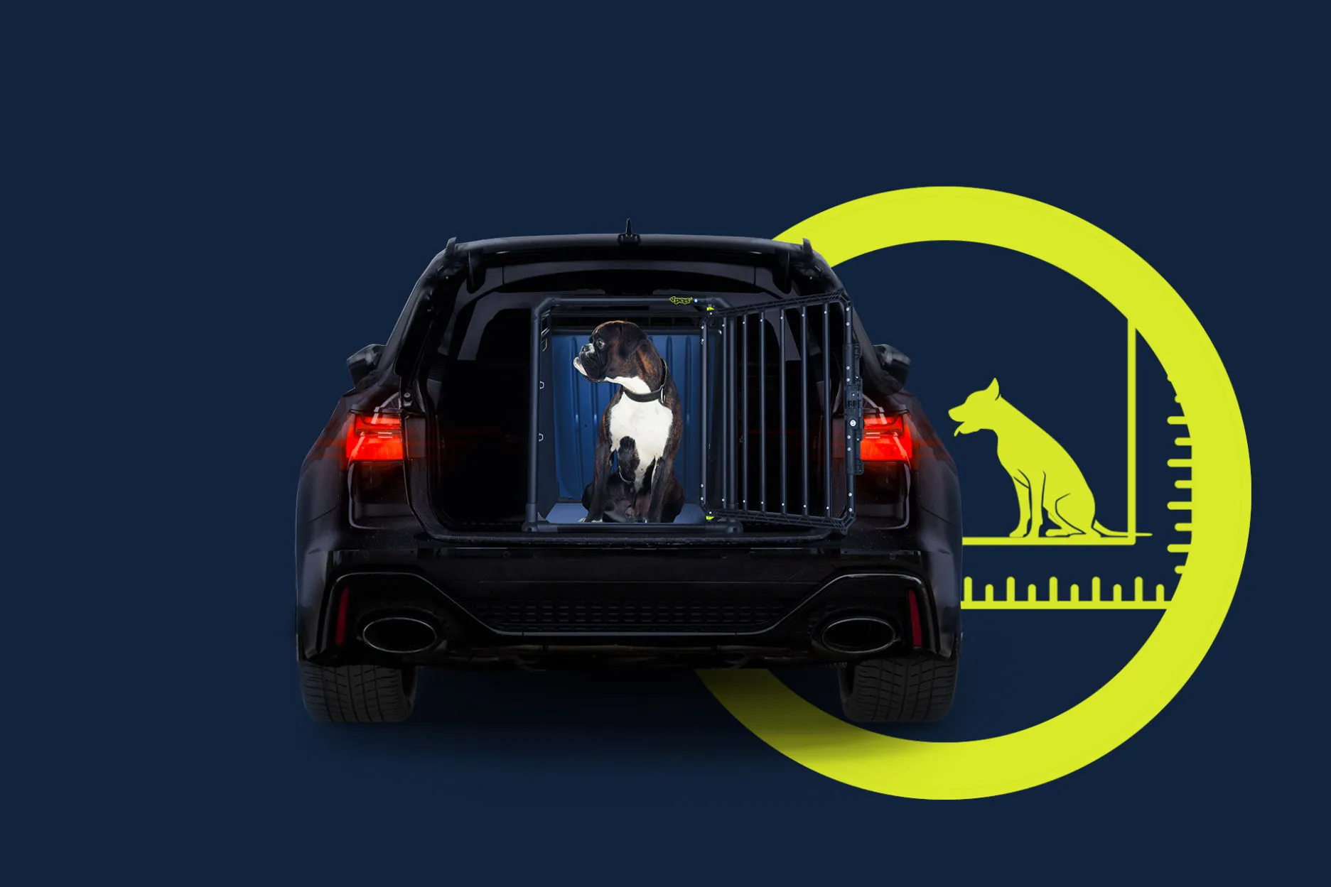 Hund in einer Hundebox im Auto