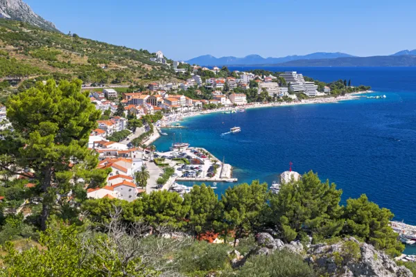Hund läuft glücklich am Strand in Kroatien