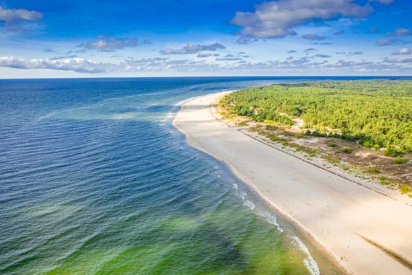 Hund liegt entspannt vor einem polnischen Ferienhaus am See
