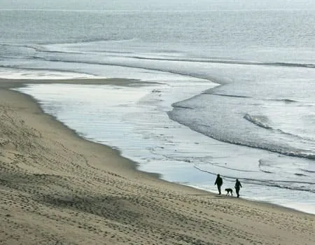 Hund mit Paar am Strand
