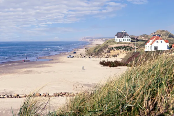 Hund und Familie genießen Urlaub an dänischer Küste